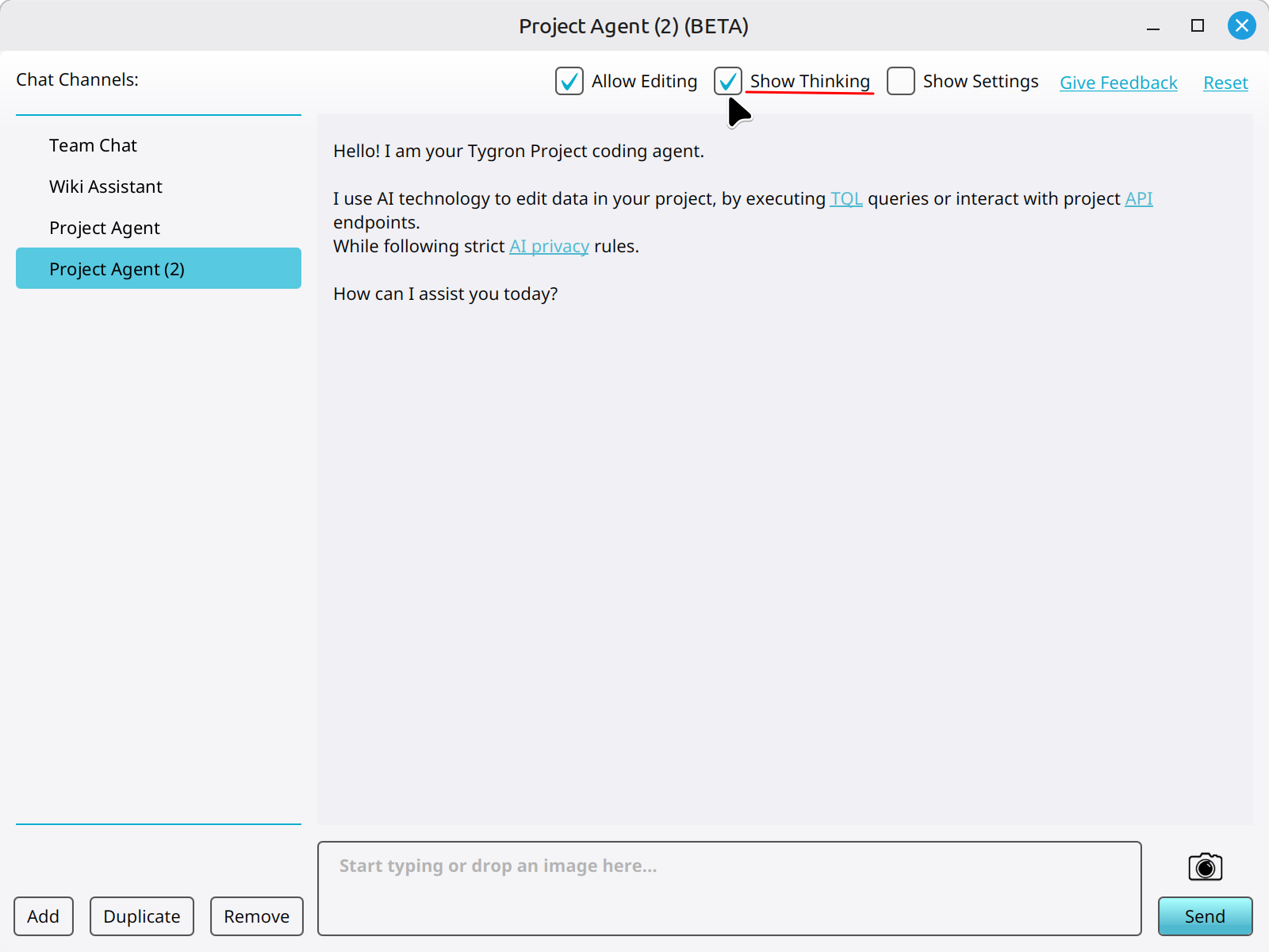 Clicking on the Show Thinking checkbox to show the thinking part of Chat Messages related to the Chat Channel.