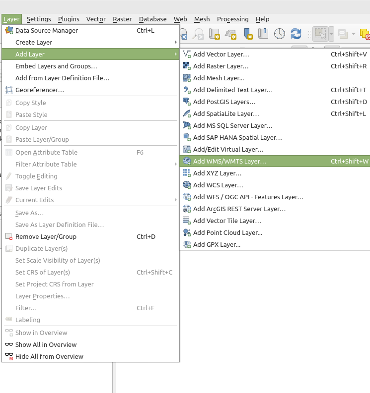 Add a WMS Layer of your project session in QGIS.