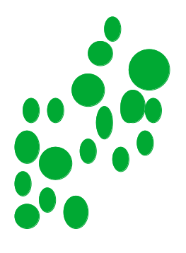Thumbnail for version as of 11:28, 16 July 2026