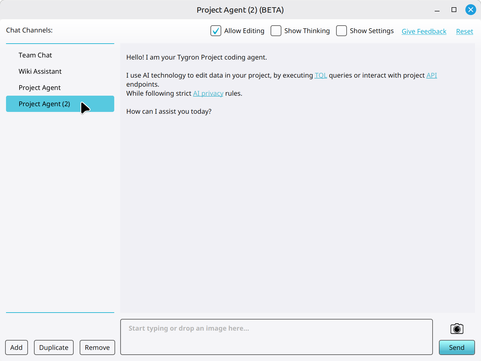 Selecting a duplicated Project Agent in the Chat panel.